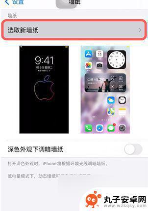 苹果手机如何采用动态壁纸 iPhone动态壁纸怎么设置