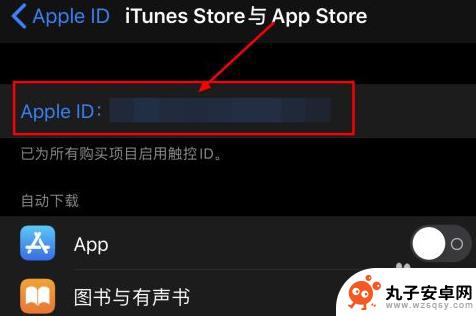 手机管家怎么退款申请 iOS退款申请教程及常见问题解答