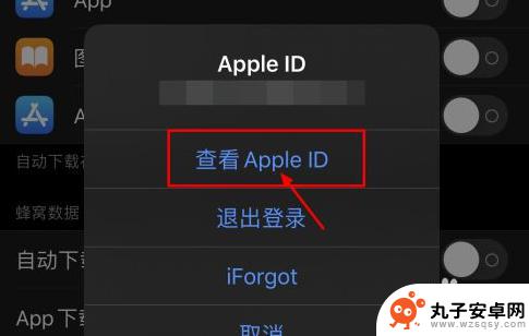 手机管家怎么退款申请 iOS退款申请教程及常见问题解答