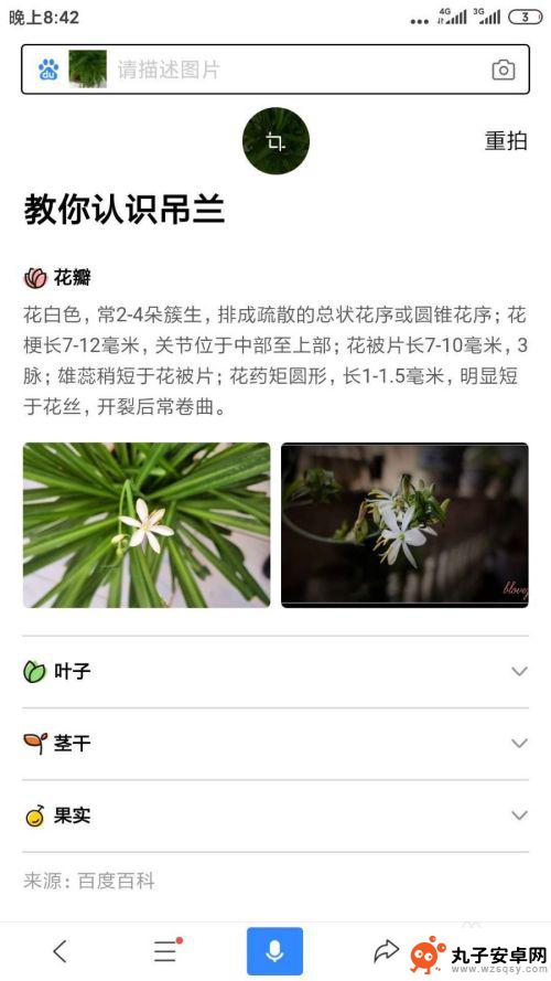 手机如何识别花草名字 野外花草识别指南