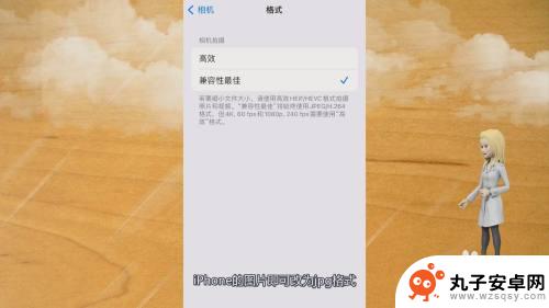 苹果手机如何图片转格式 iphone图片转换成jpg格式教程