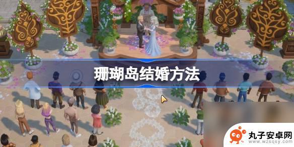 珊瑚岛结婚能干嘛 珊瑚岛结婚攻略