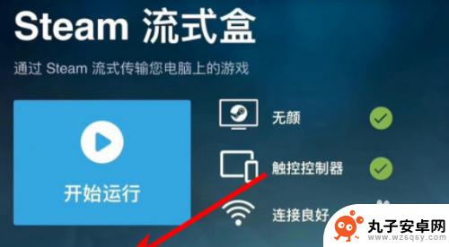 ipad应用steam ipad怎么下载steam游戏