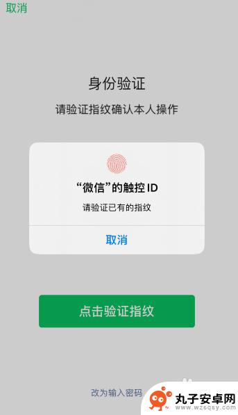 苹果手机如何办微信购物 怎样把苹果手机支付改成微信支付