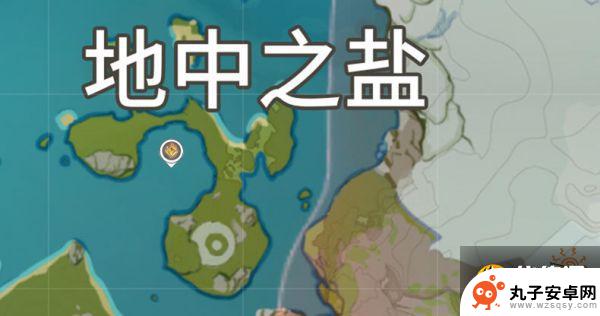 原神最难找的12个岩神瞳 原神岩神瞳采集位置分享