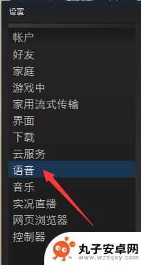 steam怎么调试声音 游戏语音测试教程