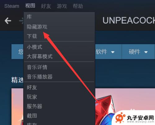 steam 显示 steam如何找到隐藏的游戏