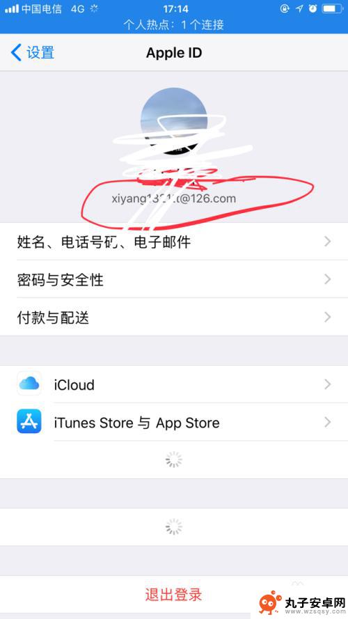 苹果手机如何查询id iPhone手机怎么查看自己的Apple ID编号