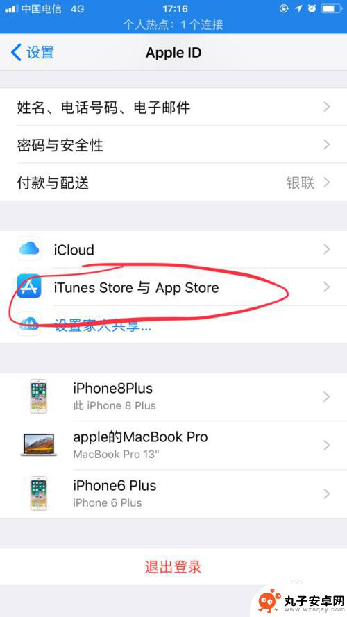 苹果手机如何查询id iPhone手机怎么查看自己的Apple ID编号