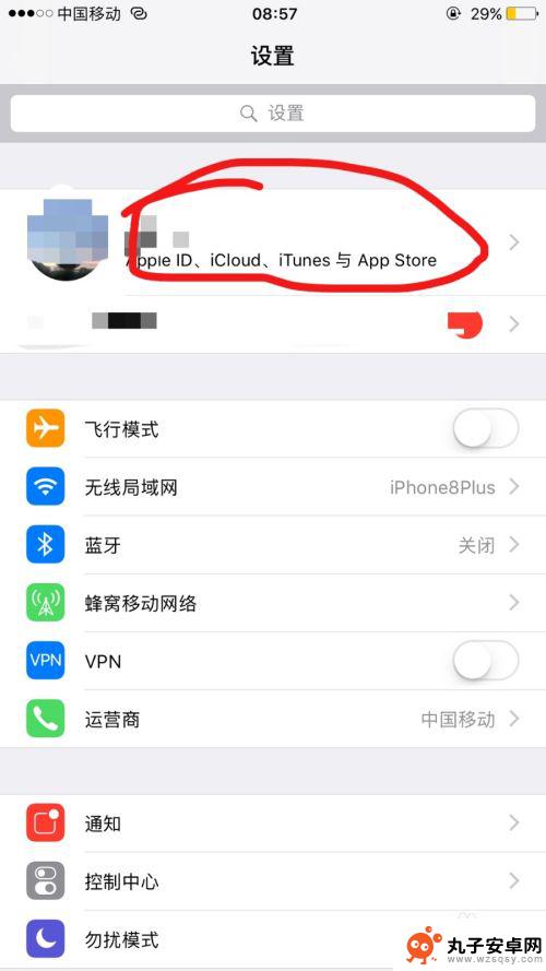 苹果手机如何查询id iPhone手机怎么查看自己的Apple ID编号