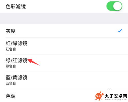 苹果色彩滤镜如何打开手机 苹果iPhone手机如何打开色彩滤镜