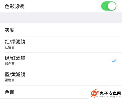 苹果色彩滤镜如何打开手机 苹果iPhone手机如何打开色彩滤镜
