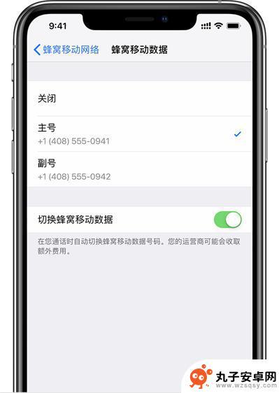 苹果手机电信副卡怎么用不了了 iPhone XS Max 双卡无服务原因